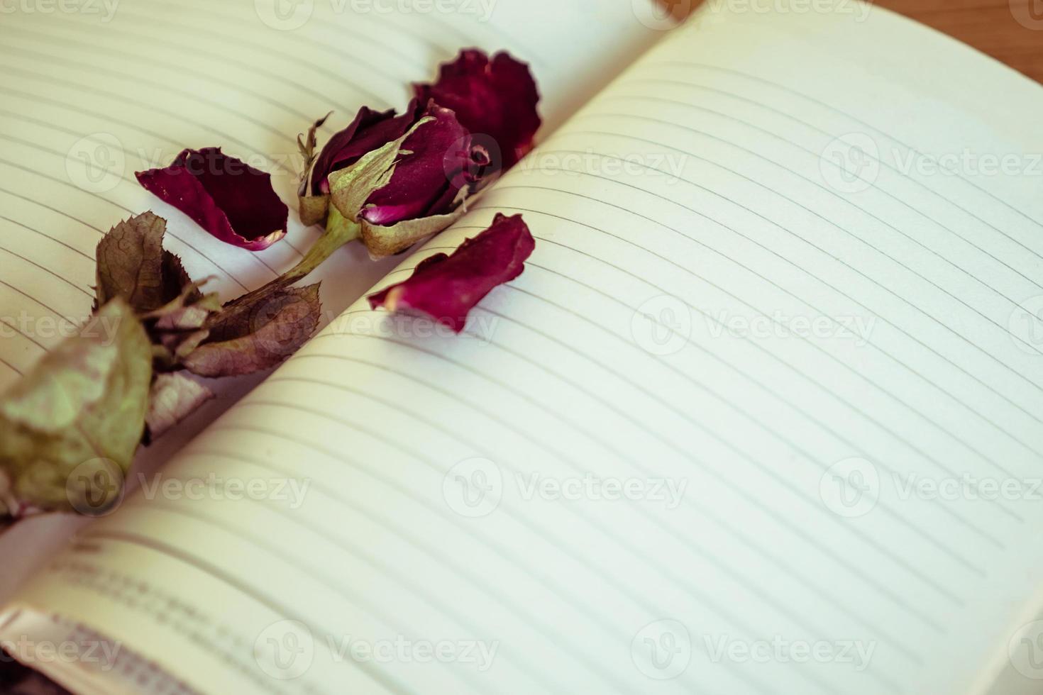 rosa seca en el cuaderno en blanco. enfoque selectivo. tono de época. foto