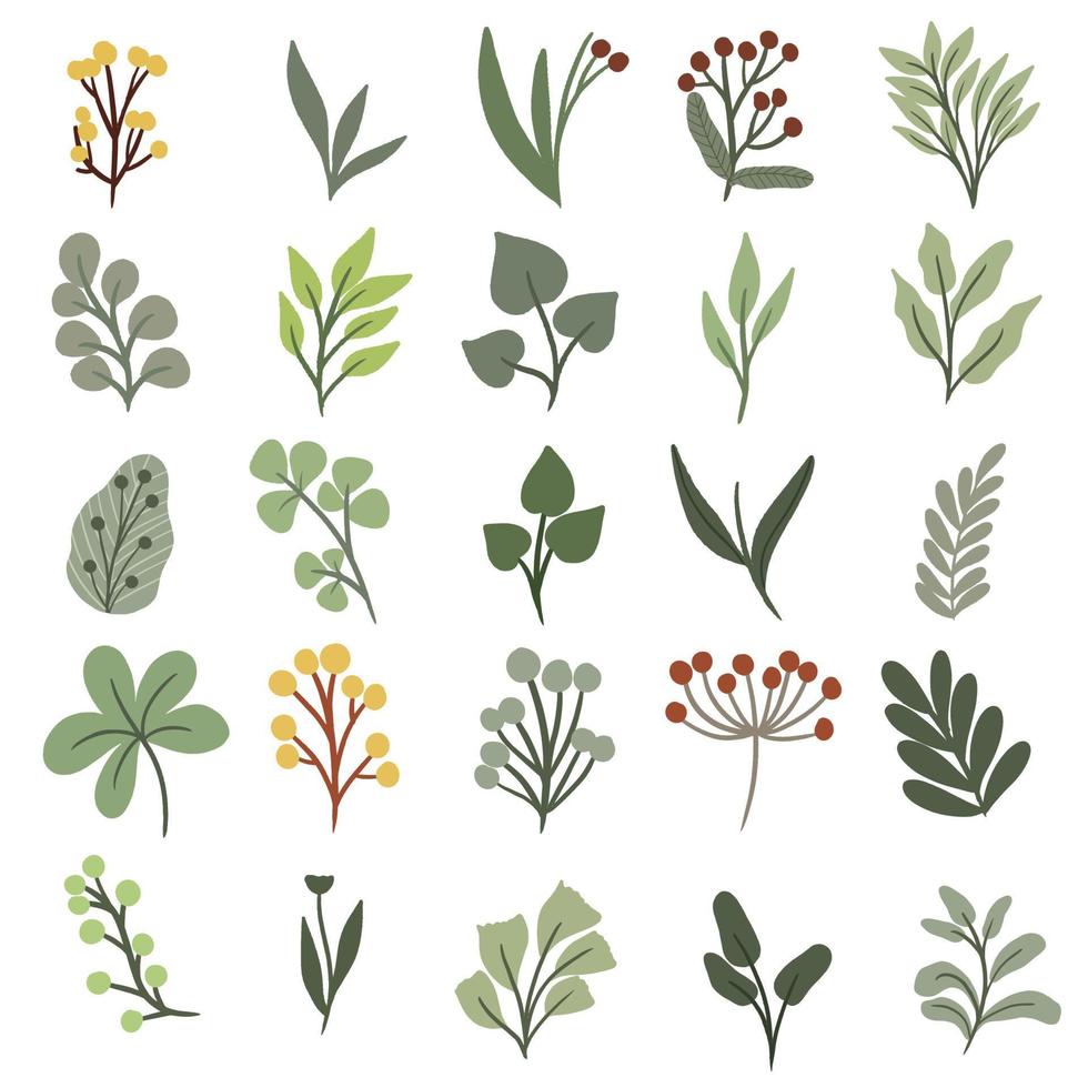 Set Flower vector free
