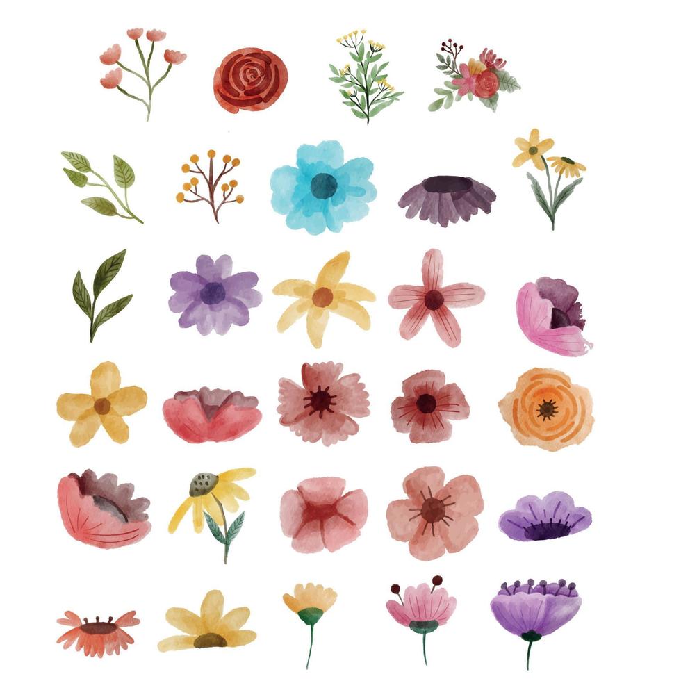 Watercolor Flower Elemen Vector free