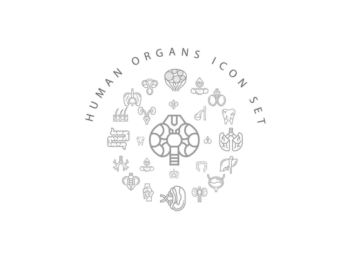 Human organs icon set design on white background. vector