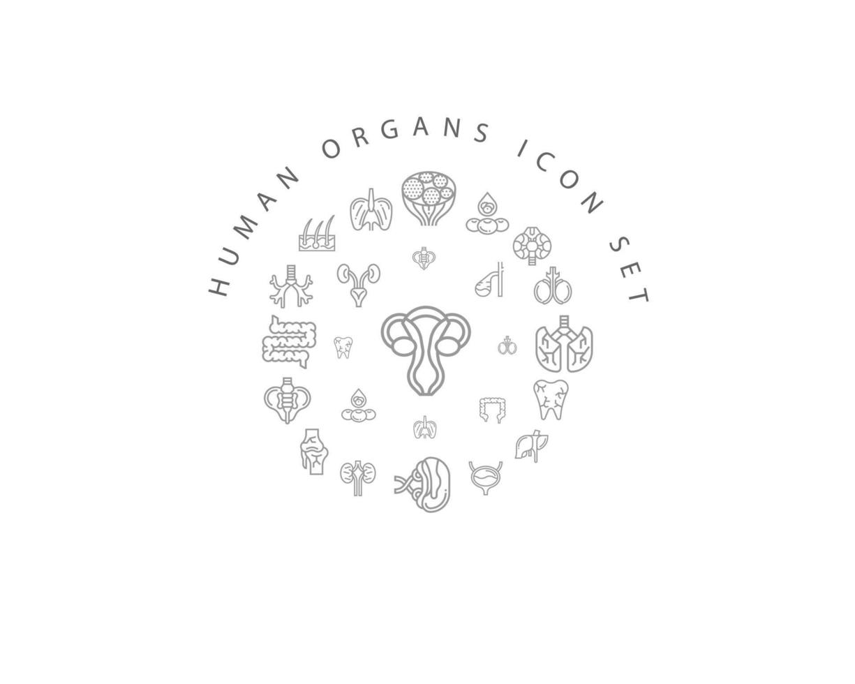 Human organs icon set design on white background. vector