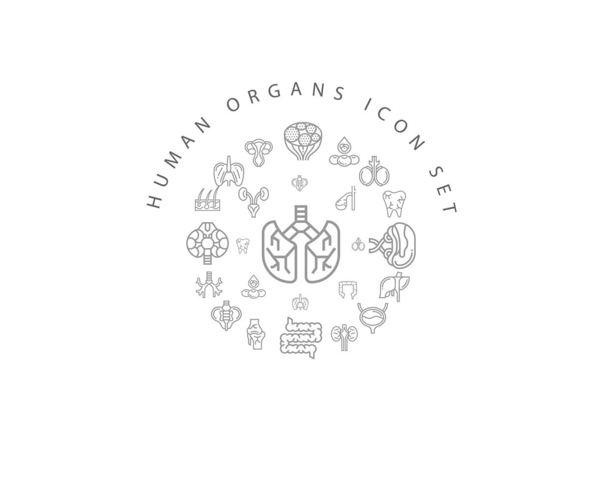 Human organs icon set design on white background. vector