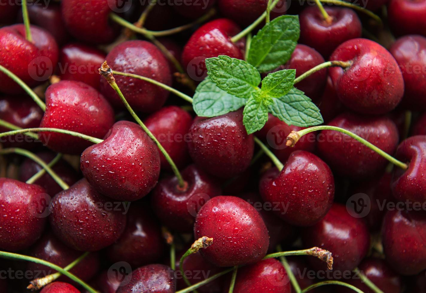 cerezas rojas frescas foto