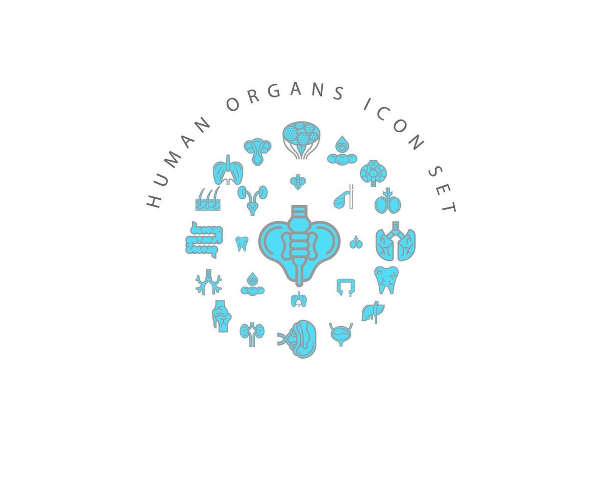 Human organs icon set design on white background. vector