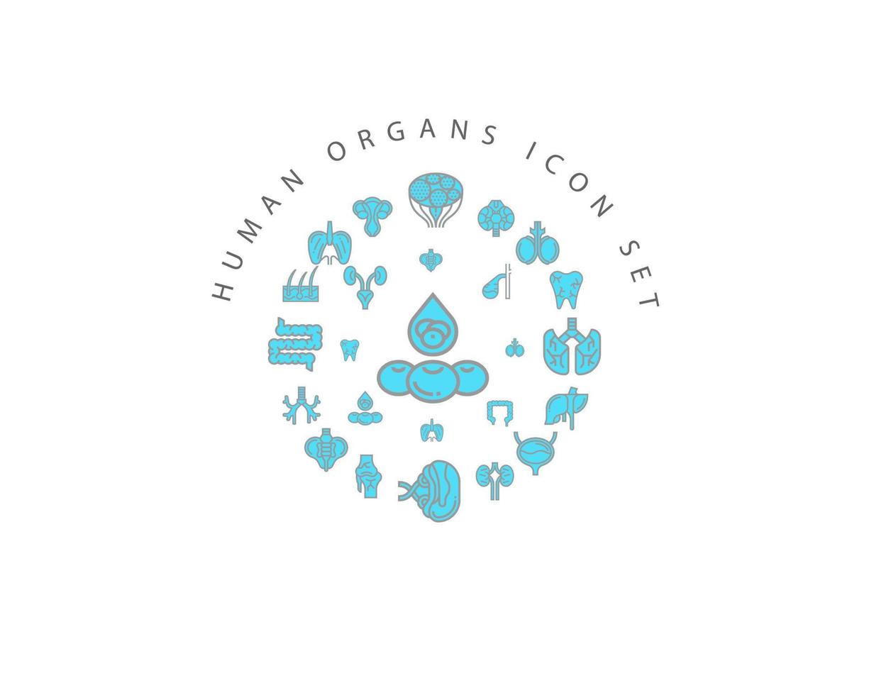 Human organs icon set design on white background. vector