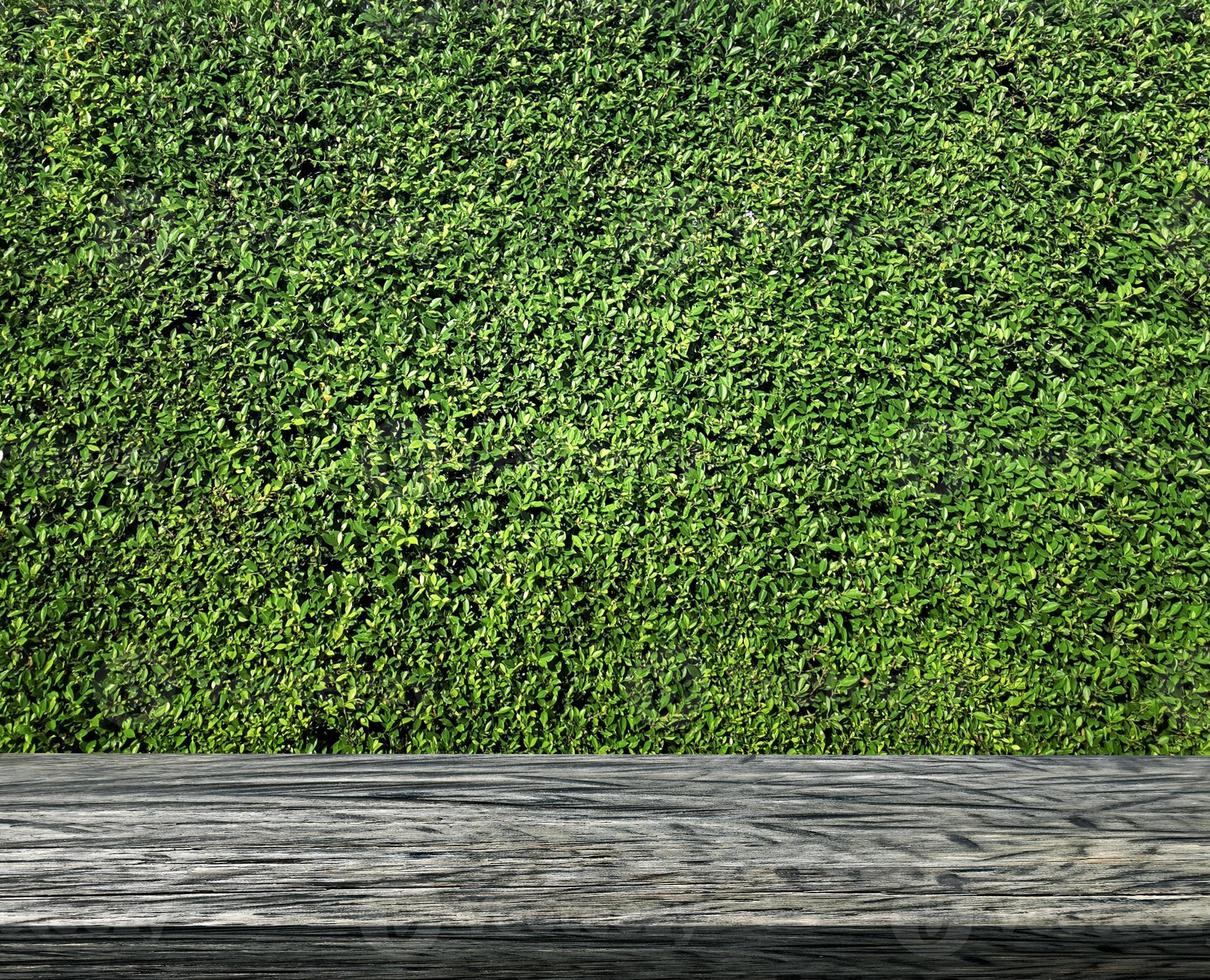 Empty wooden table and grass wall background. For product display photo