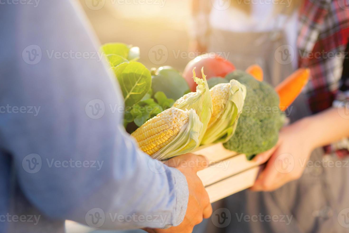 Beautiful young asian woman and man holding fresh organic vegetable with basket together in the hydroponic farm, harvest and agriculture and cultivation for healthy food and business concept. photo