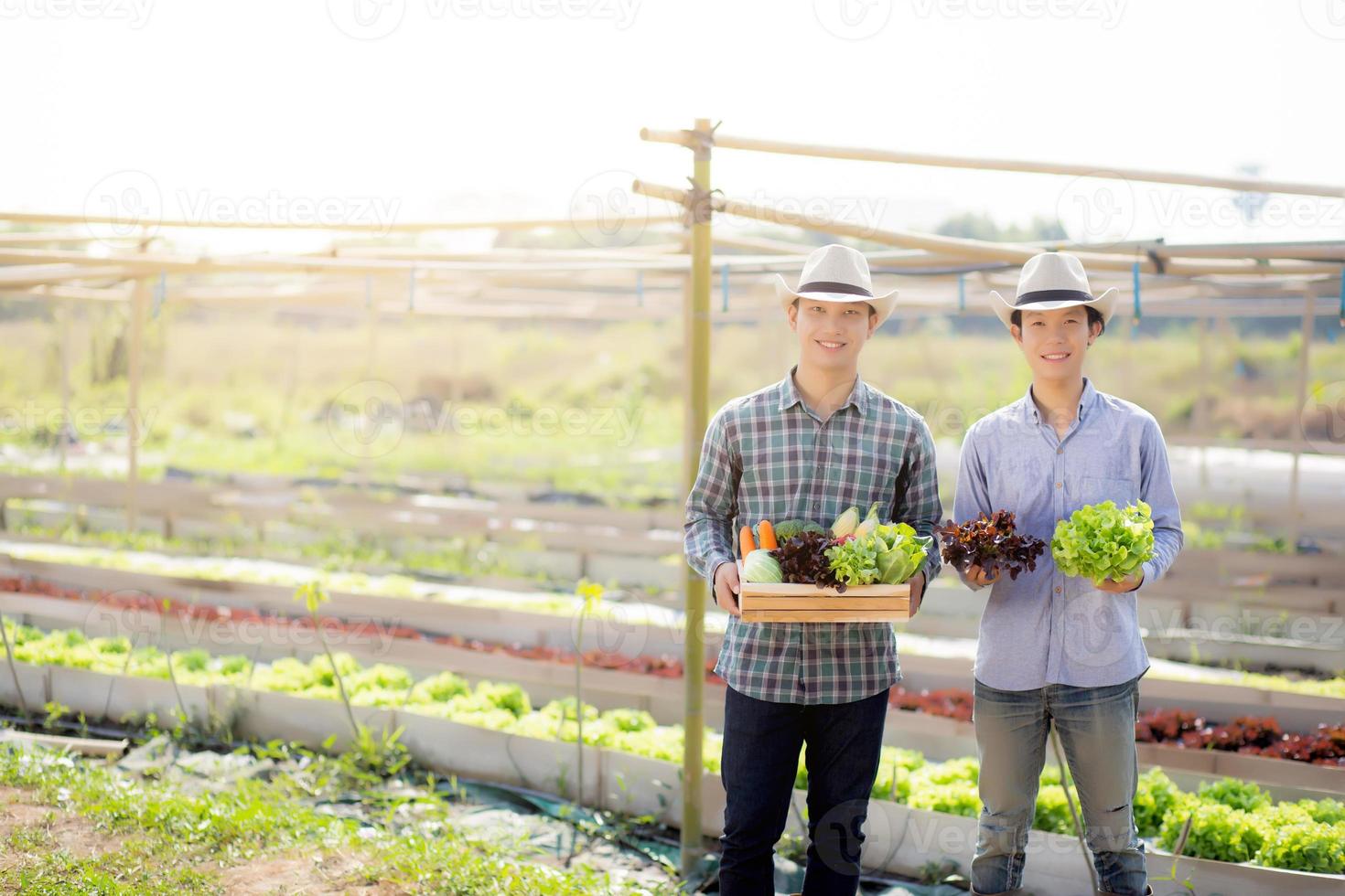 Beautiful portrait young two man harvest and picking up fresh organic vegetable garden in basket in the hydroponic farm, agriculture for healthy food and business entrepreneur concept. photo