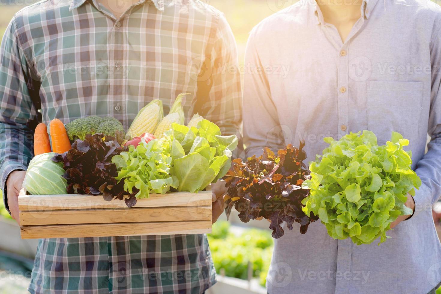 hermoso retrato jóvenes dos hombres cosechan y recogen huertas orgánicas frescas en una canasta en la granja hidropónica, agricultura para alimentos saludables y concepto de empresario empresarial. foto