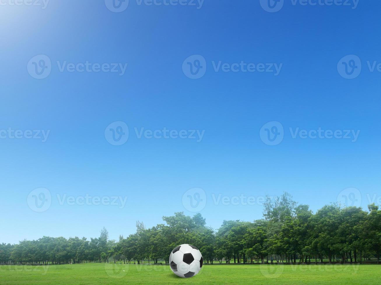 Soccer ball on green grass in beautiful course in Thailand. Soccer ball on Green Soccer ball course in morning time with soft sunlight photo