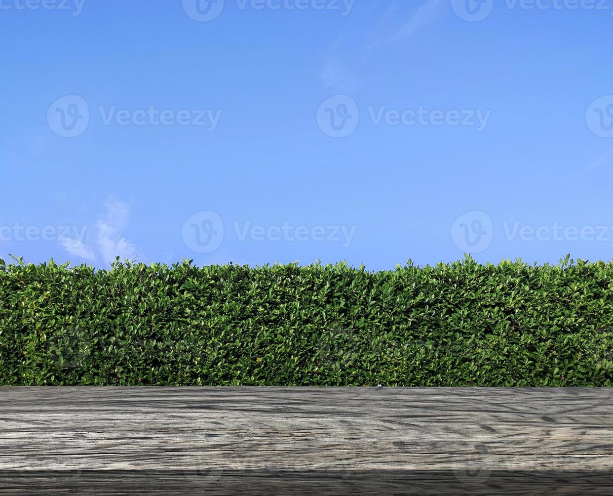 Wooden table terrace with green grass wall texture and bright blue sky photo
