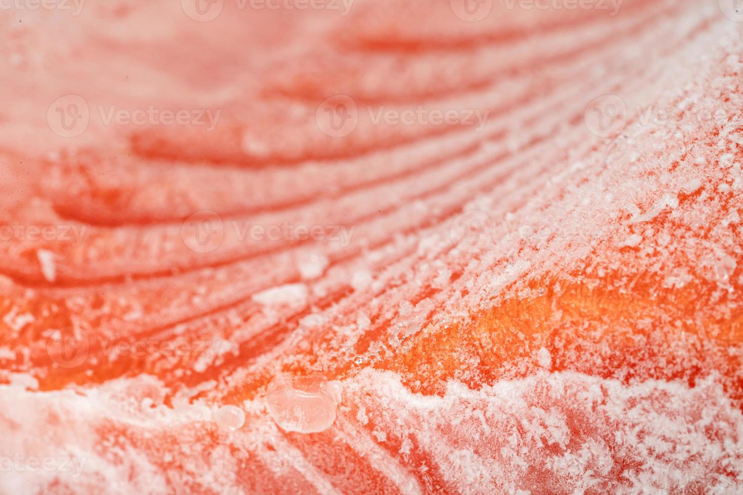 Primer trozo de filete de salmón congelado foto