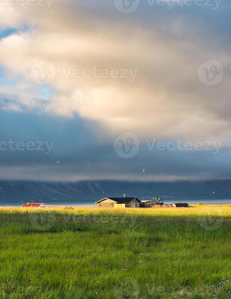 Icelandic wooden house glowing with sunlight on meadow and bird flying around in sunset on summer at Arnarstapi fishing village, Iceland photo