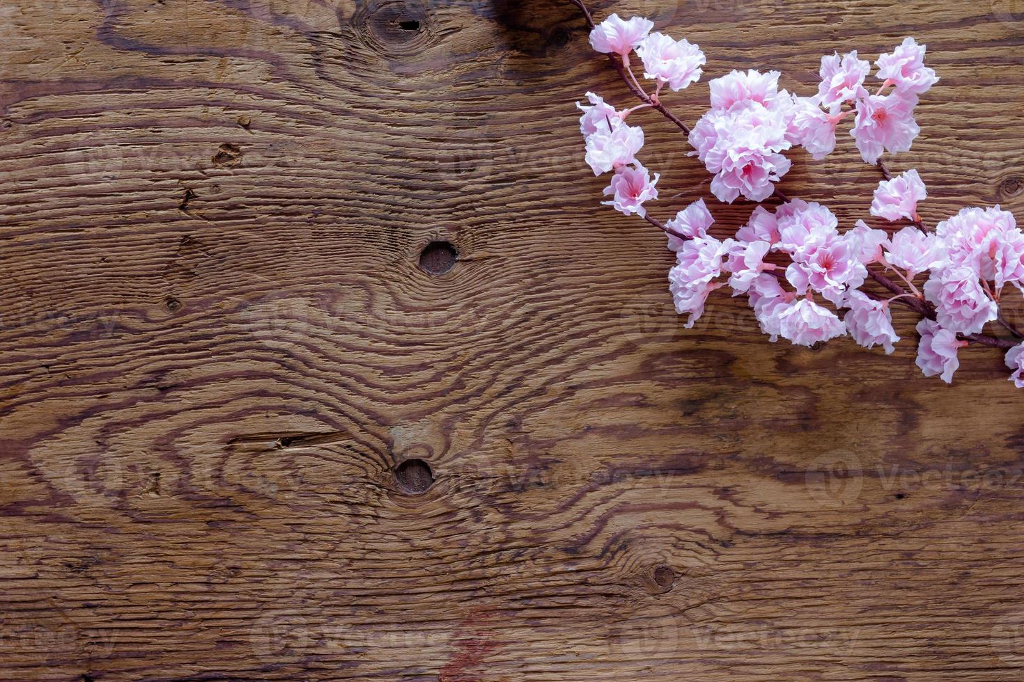 pink flowers bunch on wooden background photo