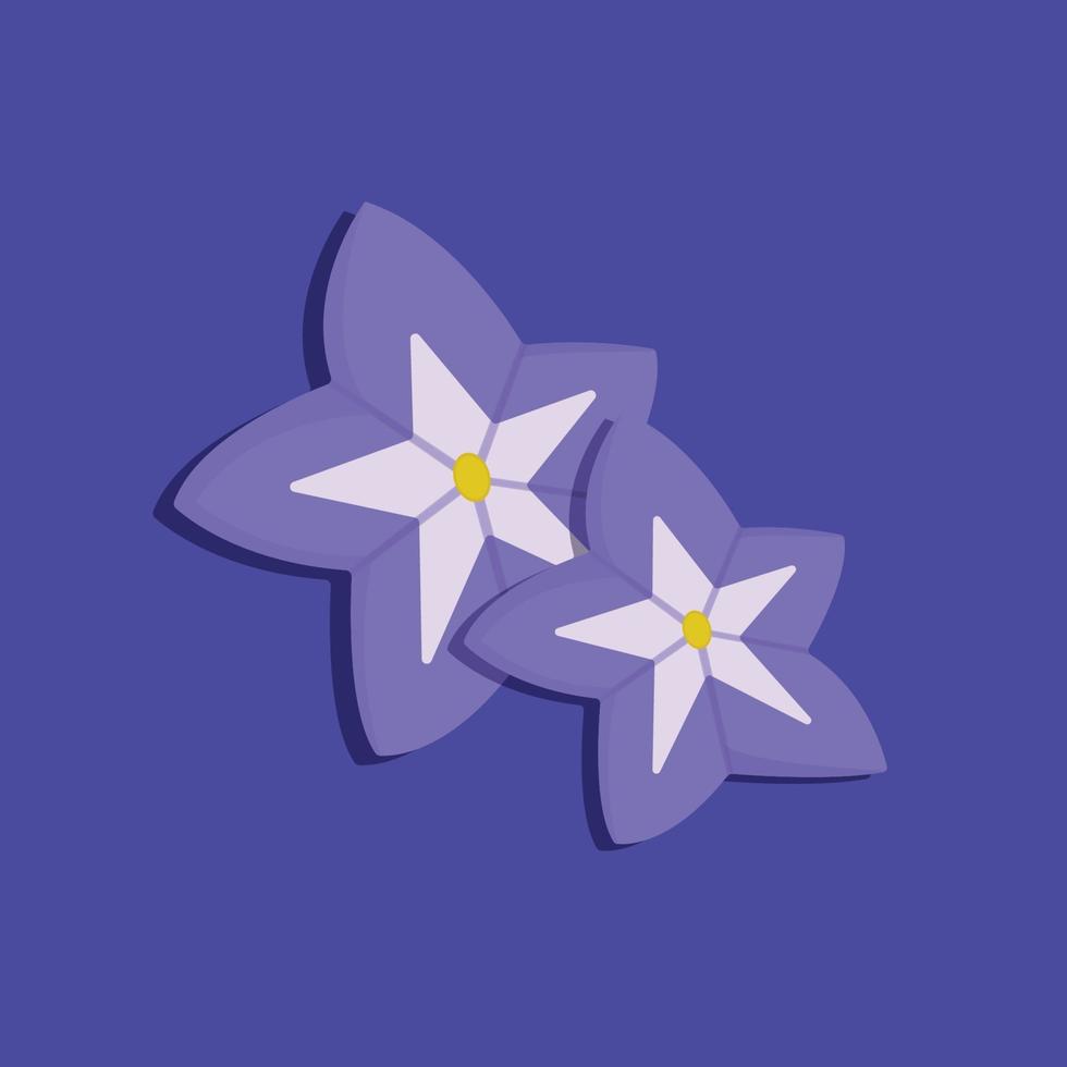 Beautiful flower-like purple star illustration vector