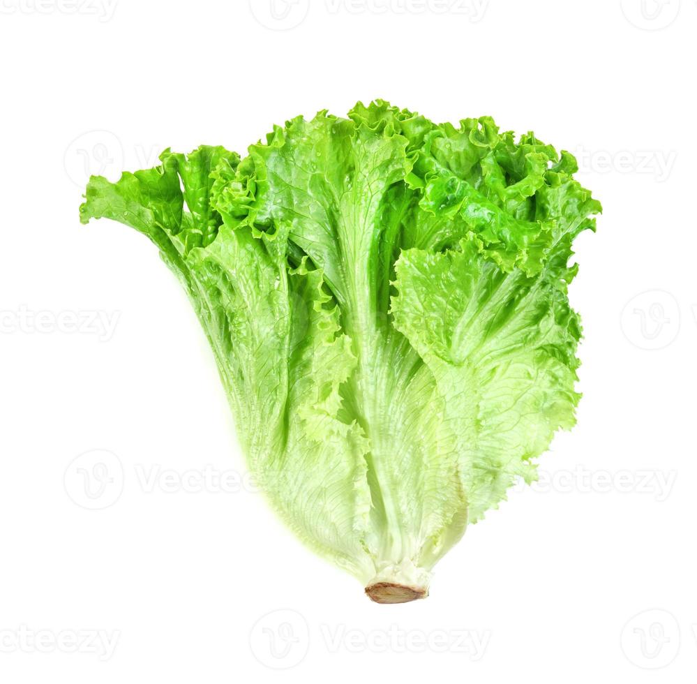 Lettuce leaf isolated on white background ,Green leaves pattern ,Salad ingredient photo