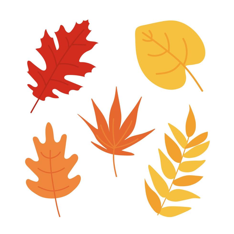 conjunto de hojas de otoño aislado sobre fondo blanco. estilo plano de dibujos animados simples. imágenes prediseñadas de ilustración vectorial. diseño para pegatinas, logotipo, web y aplicación móvil. elementos de diseño de hojas de otoño vector