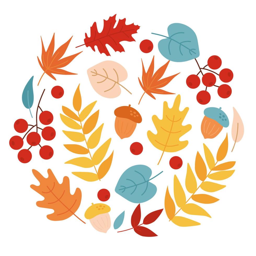 Autumn leaves set, acorns and rowan. Simple cartoon flat style. Autumn background. Design for stickers, logo, web and mobile app. Autumn leaf design elements vector