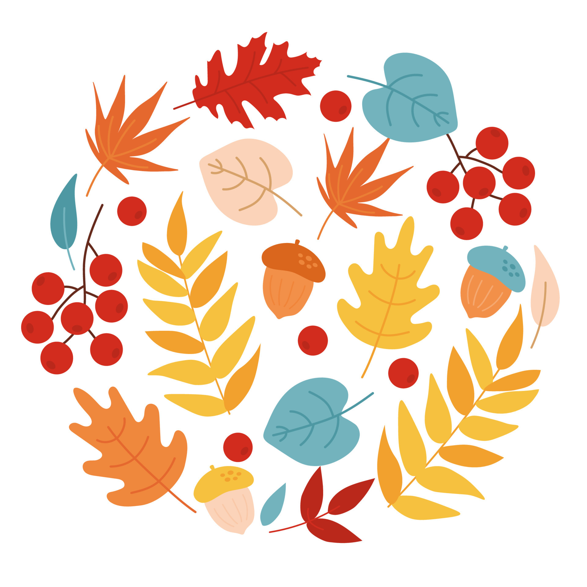Autumn leaves set, acorns and rowan. Simple cartoon flat style. Autumn