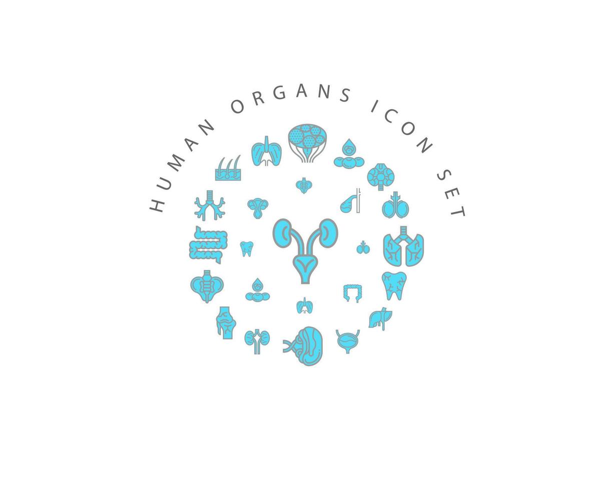 Human organs icon set design on white background. vector