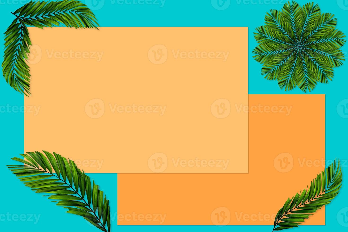 Green palm leaves pattern for nature concept,tropical leaf on orange and teal paper background photo