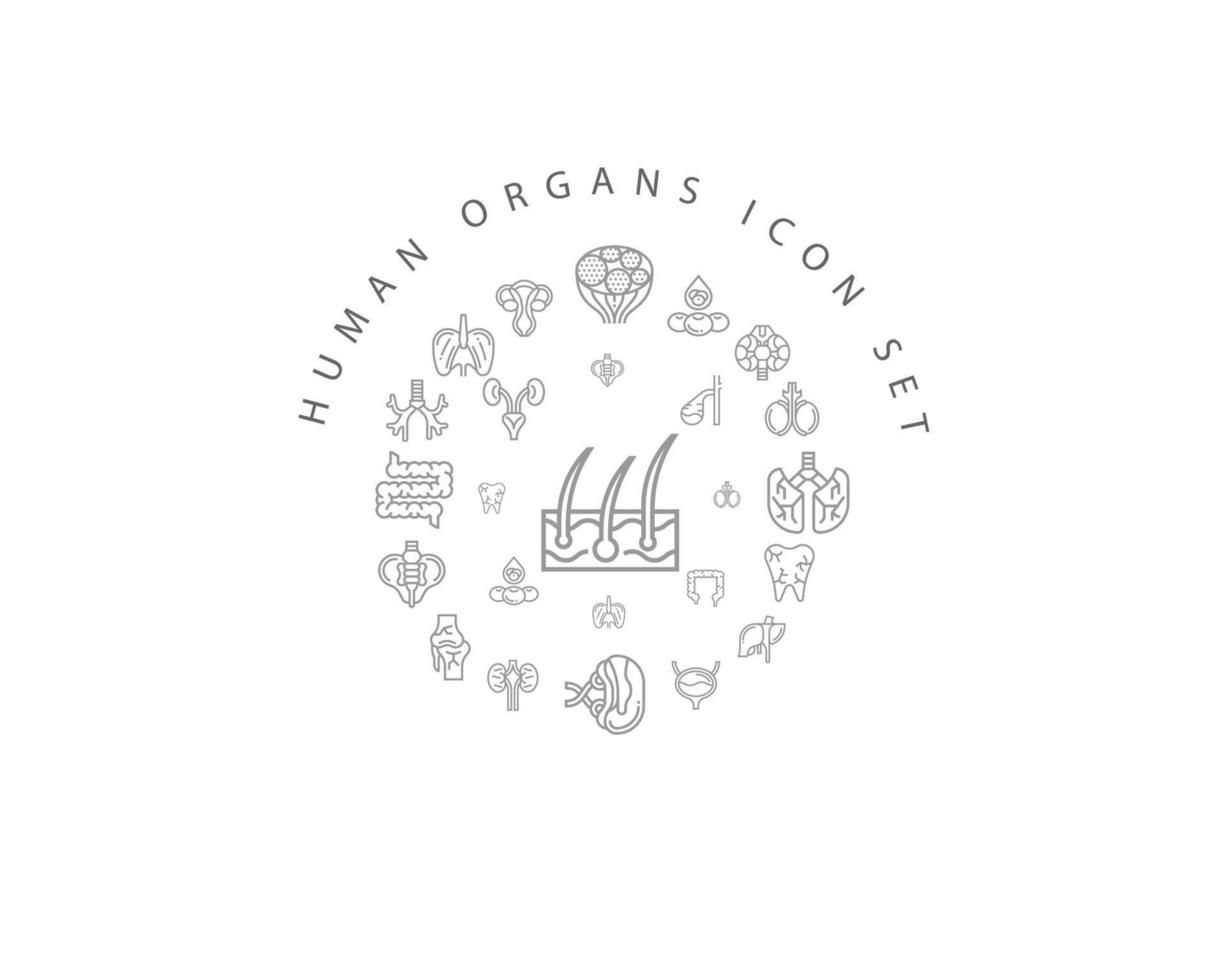 Human organs icon set design on white background. vector