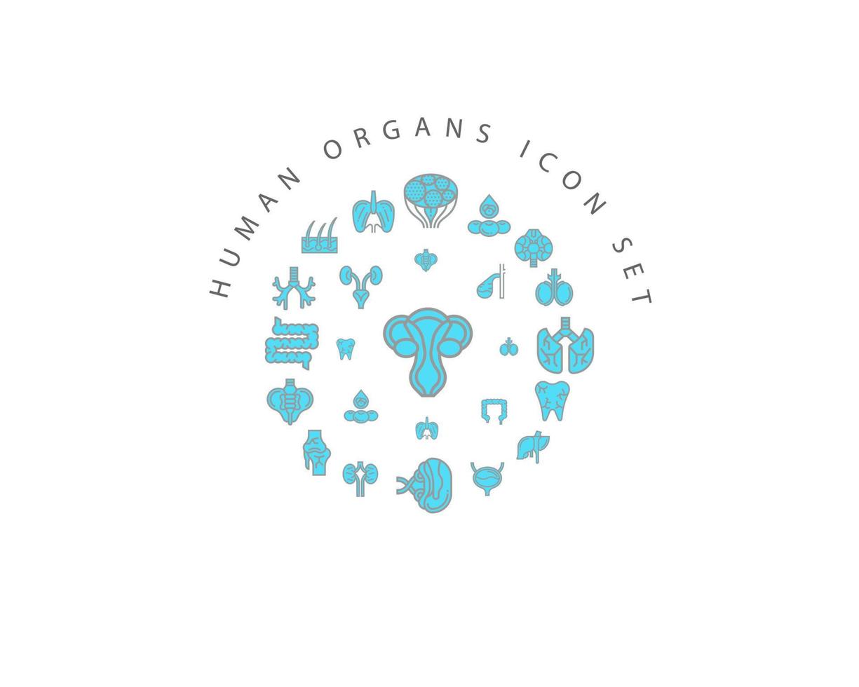 Human organs icon set design on white background. vector