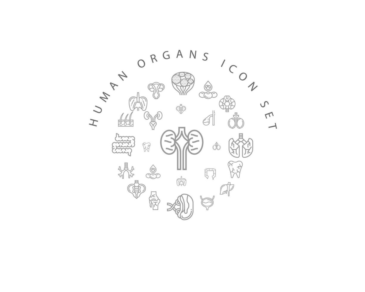 Human organs icon set design on white background. vector