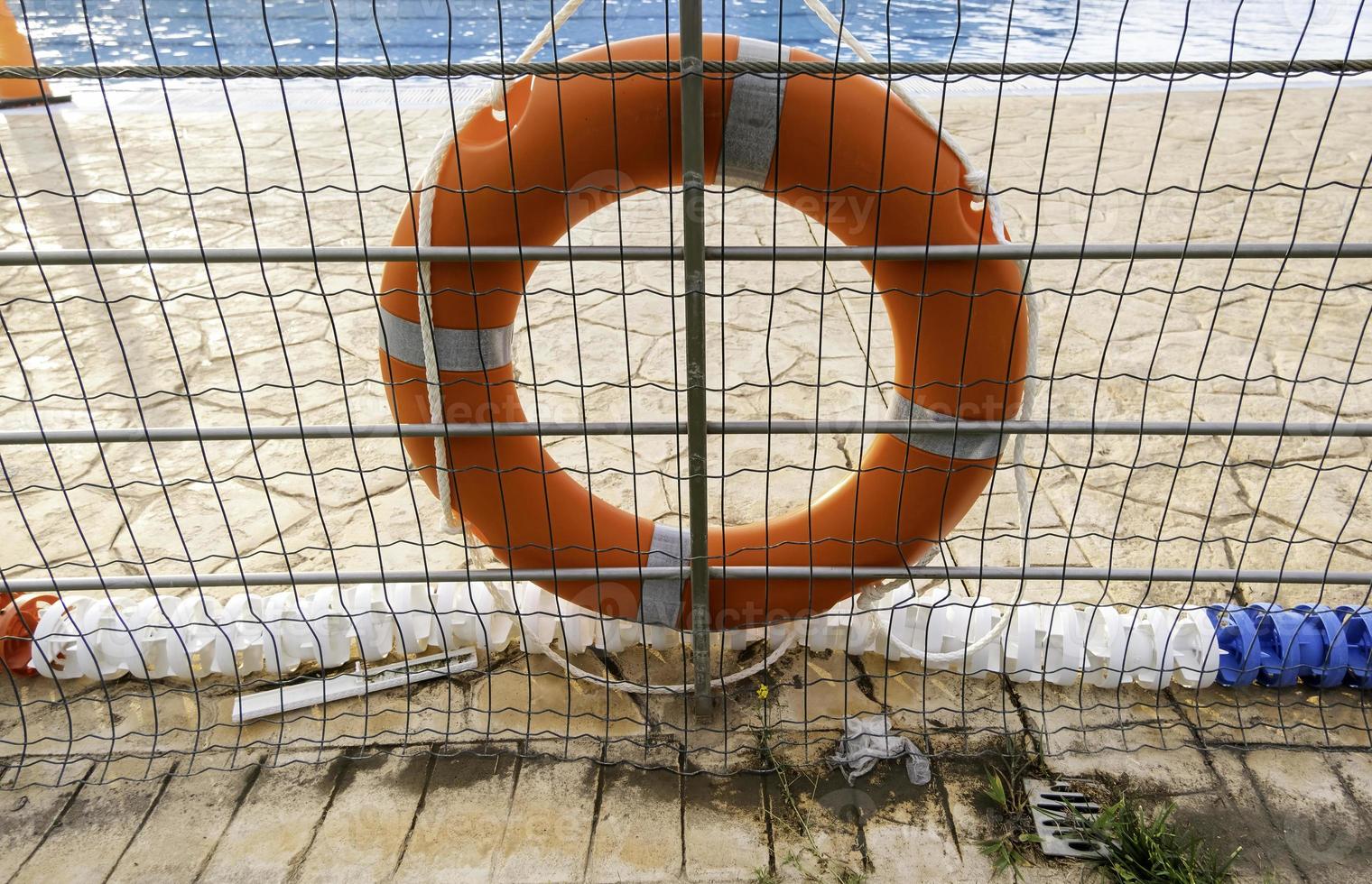 Lifeguard in a swimming pool photo