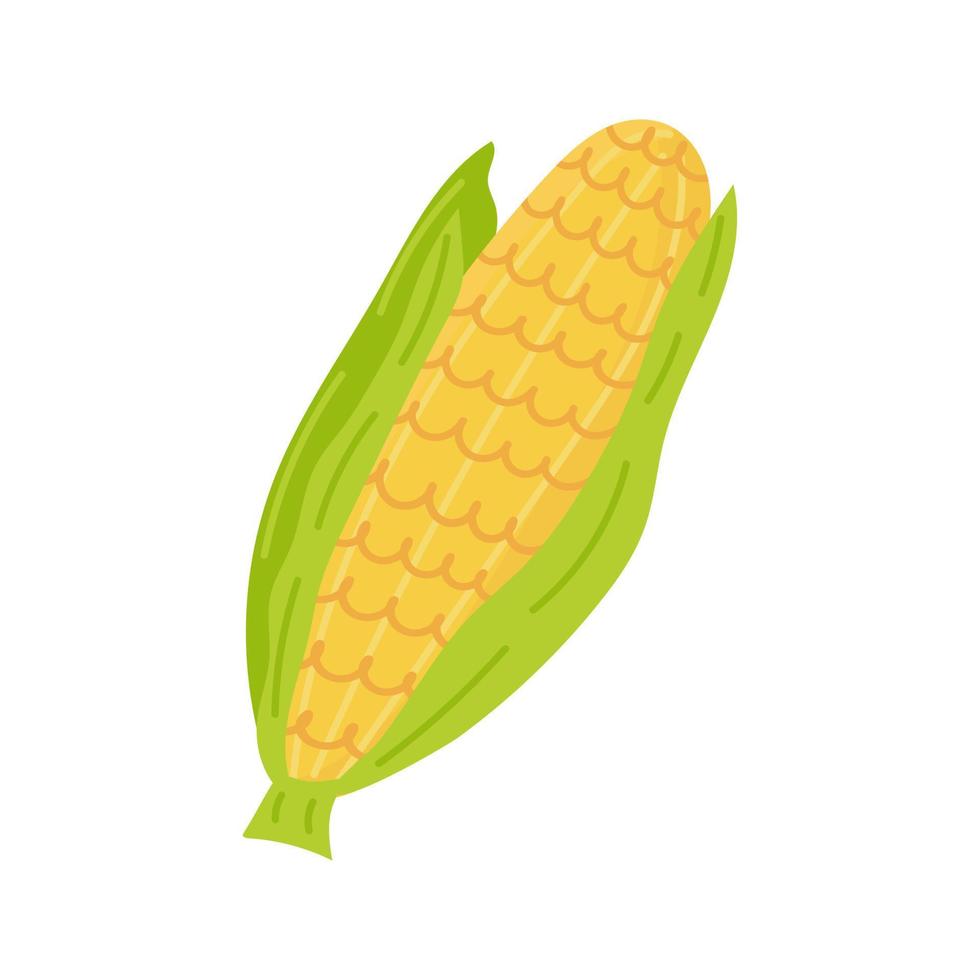 Ear of corn doodle isolated on white background. Stylized product. Cute cartoon design. For stickers, advertising, animation. Vector illustration