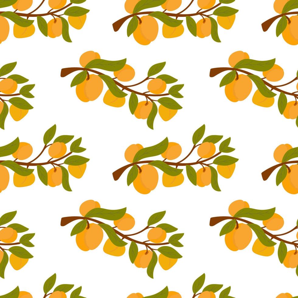 Endless apricot or peach print. Branches fruit pattern. Background for printing on fabric, paper, packaging. Vector illustration, cute cartoon style hand-drawn