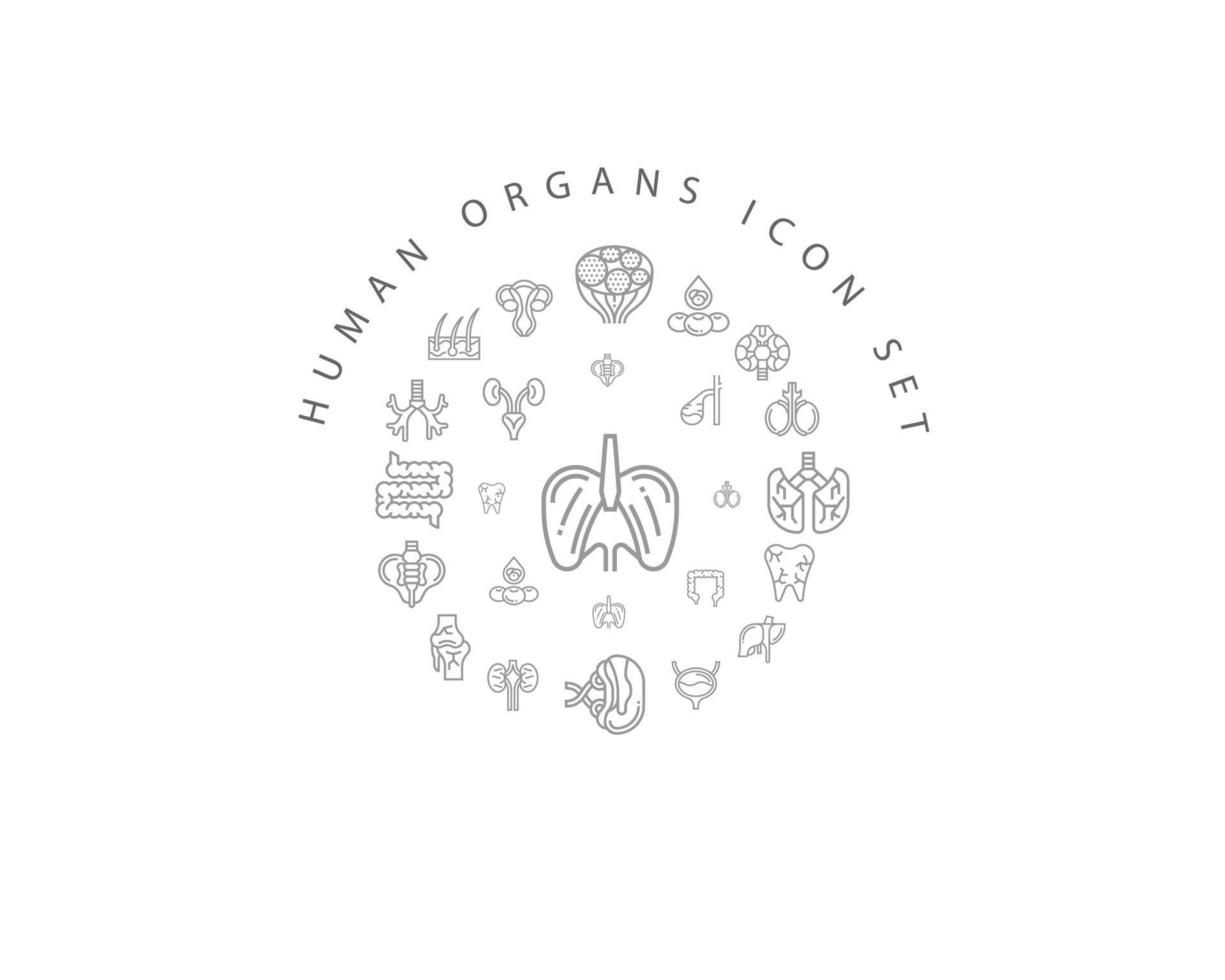 Human organs icon set design on white background. vector