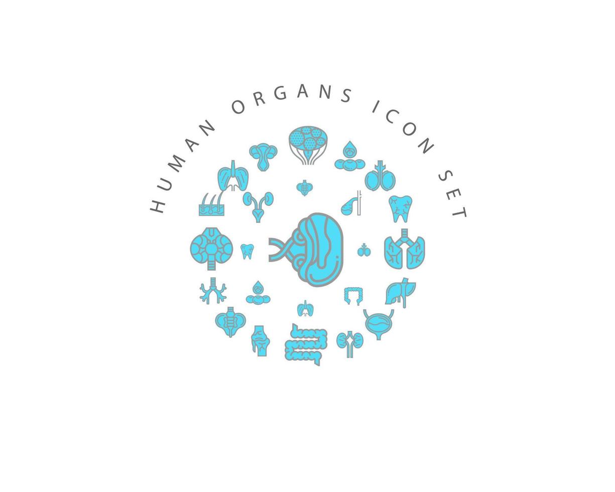 Human organs icon set design on white background. vector