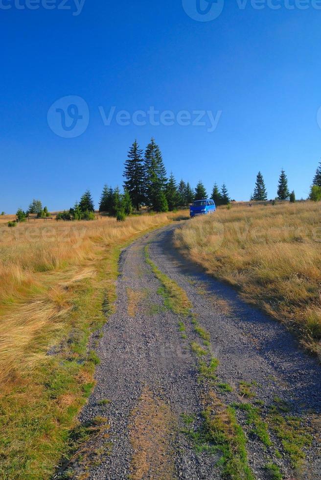 blue van in nature photo