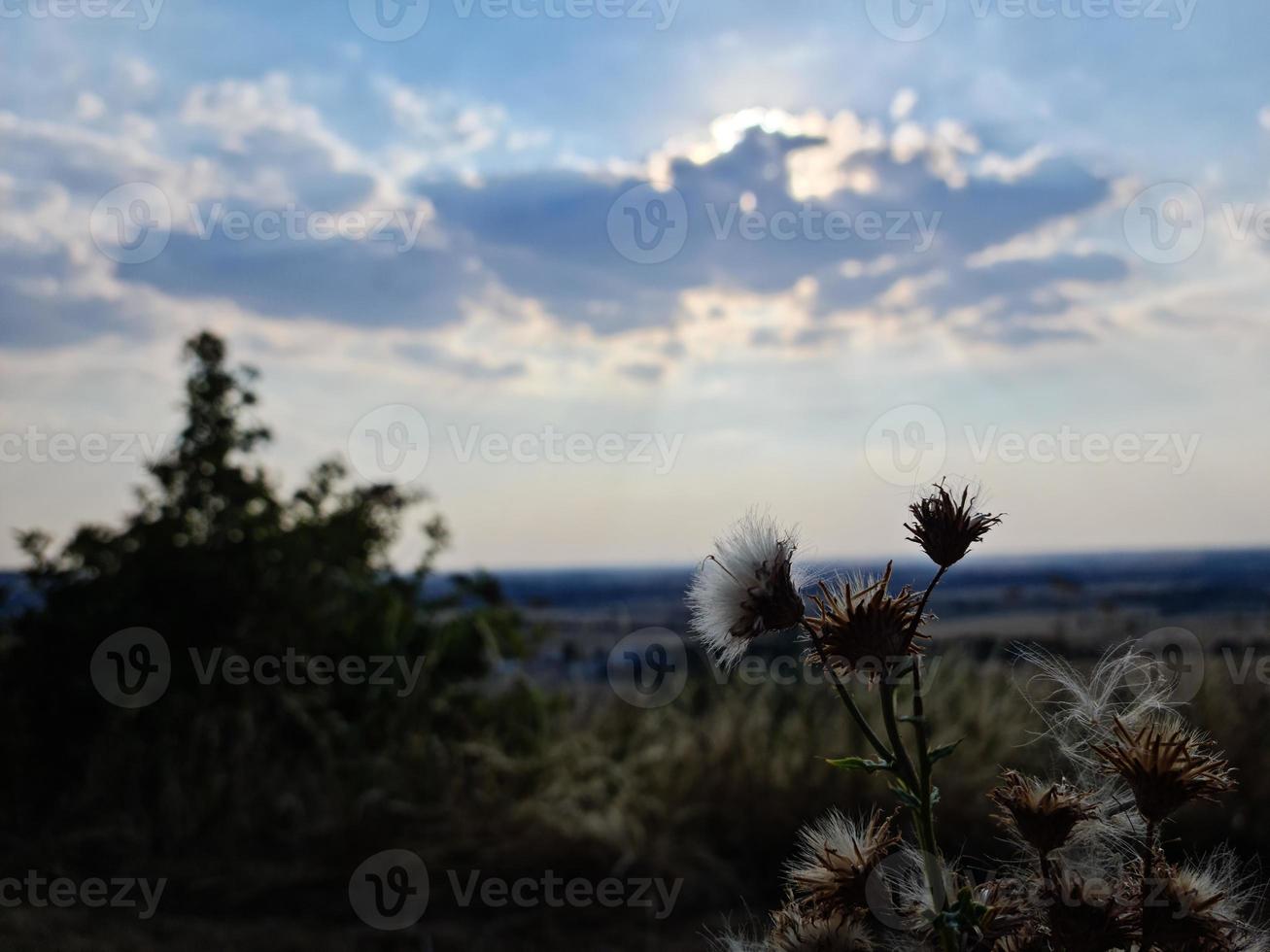 Nubes y cielo dramáticos en Dunstable Downs de Inglaterra foto