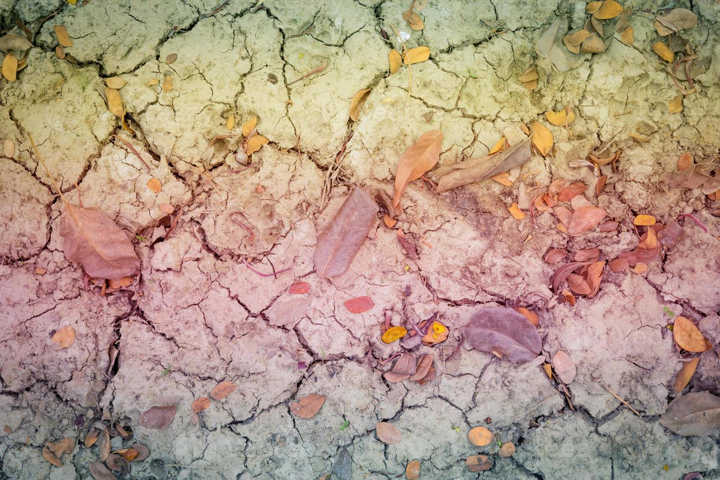 dry and crack soil  with a pastel colored  gradient. photo