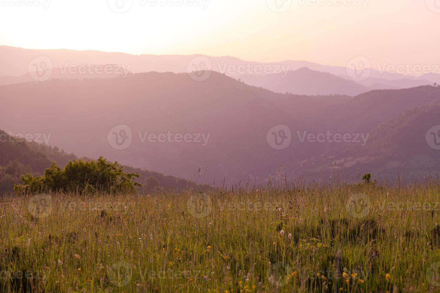 landscape nature summer photo