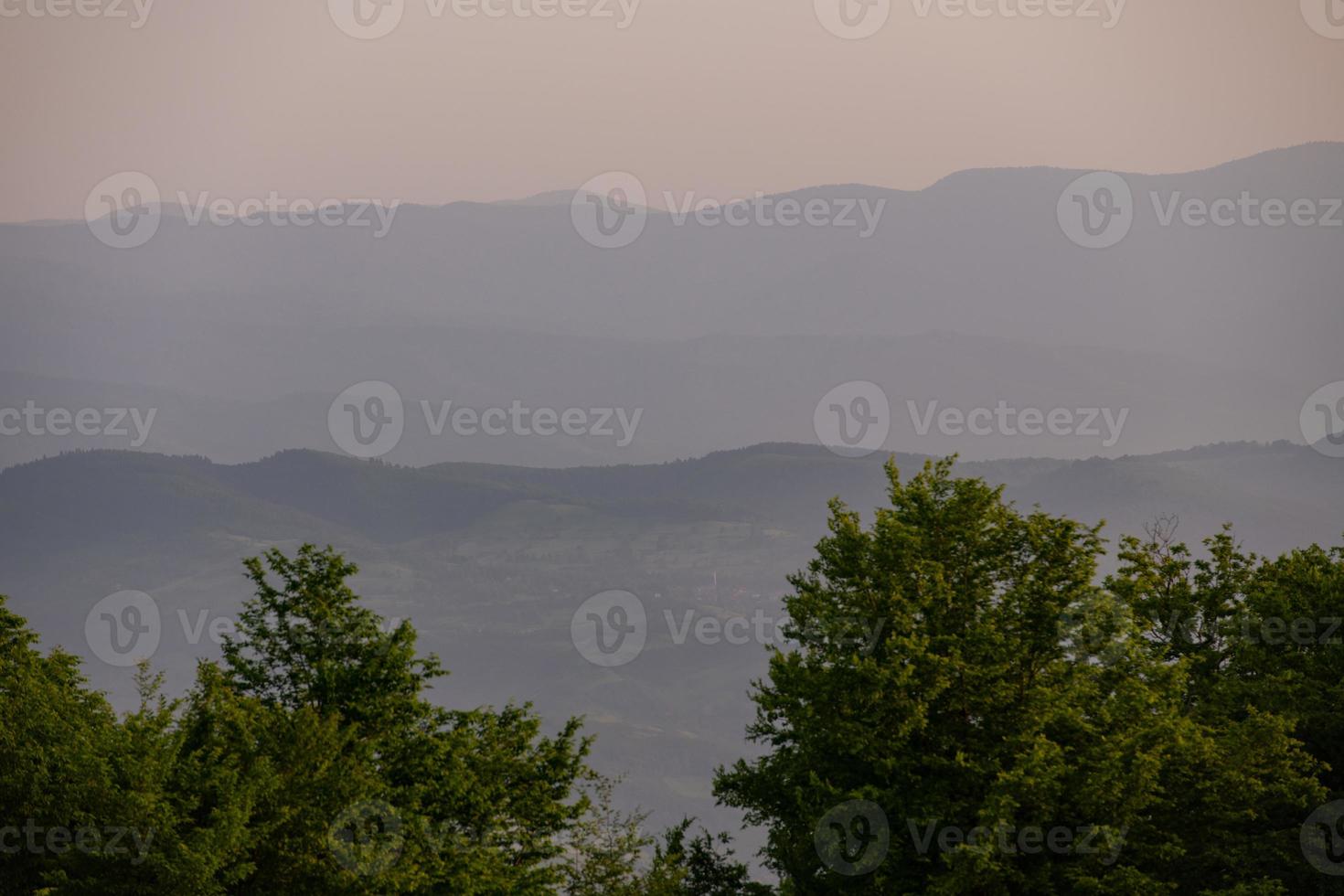 landscape nature summer photo