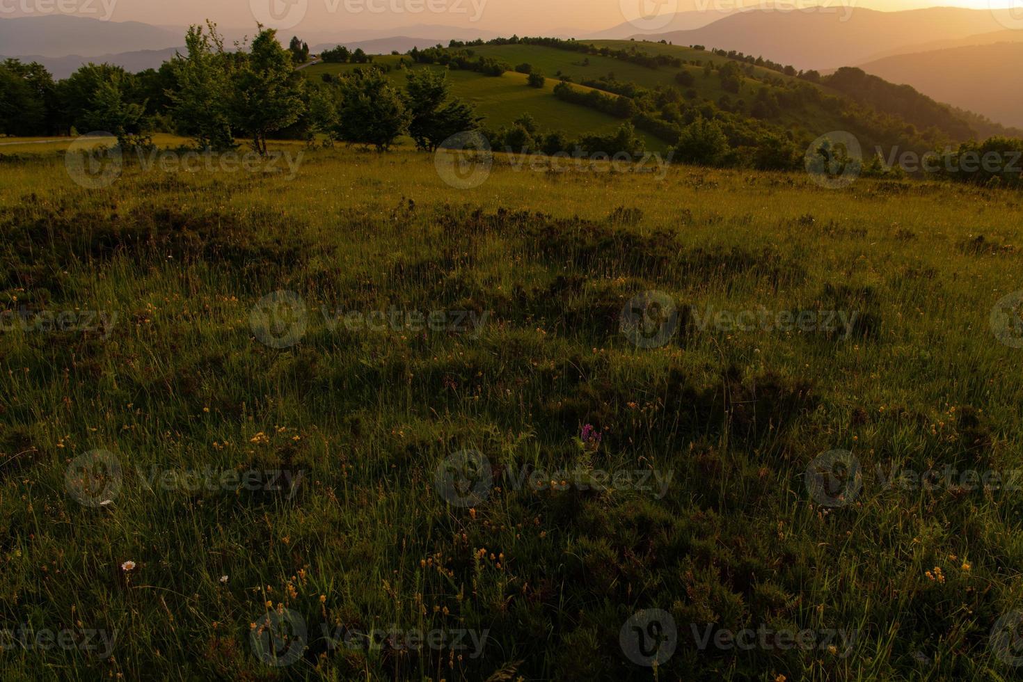 landscape nature summer photo