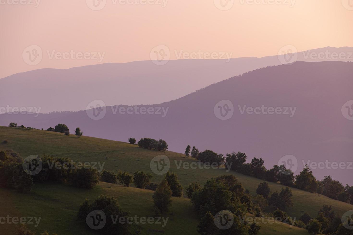 landscape nature summer photo