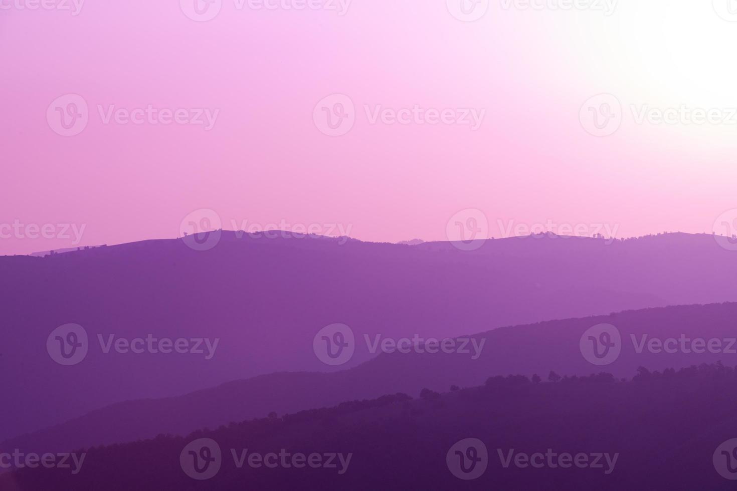 ultra violet purple summer landscape photo