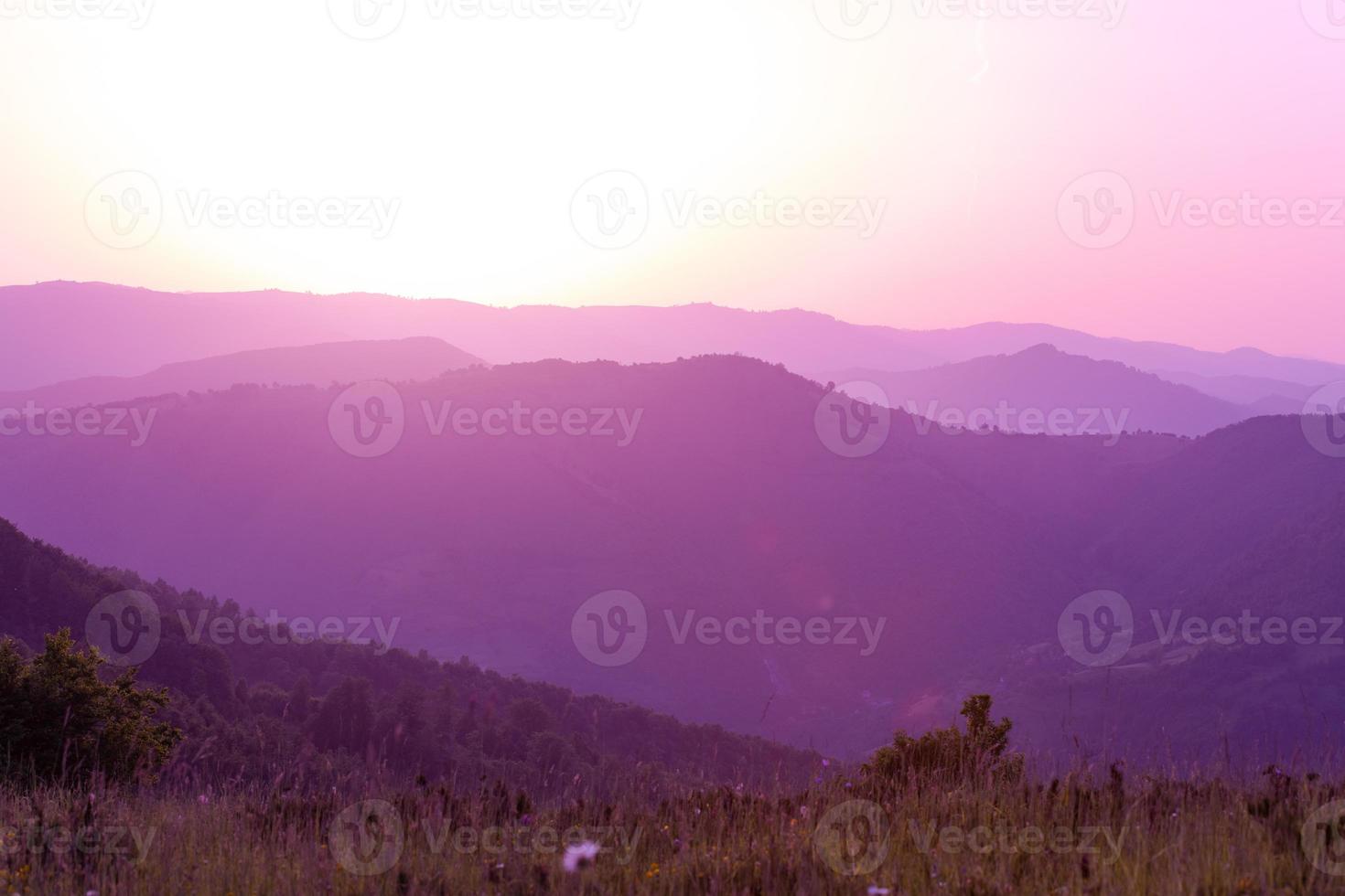 ultra violet purple summer landscape photo