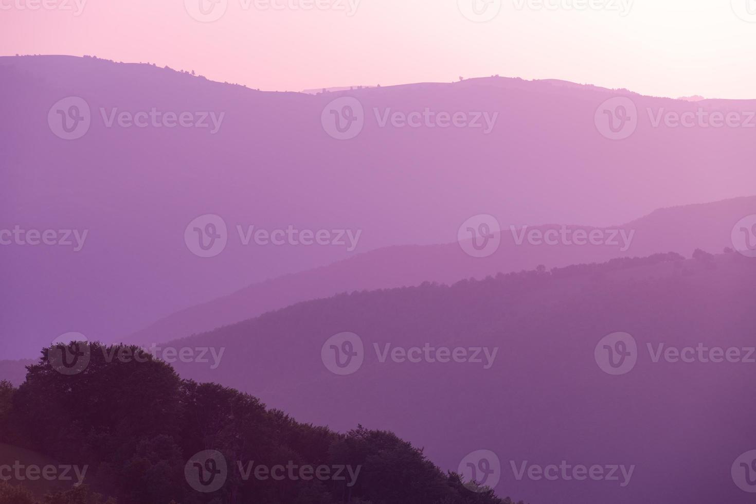 ultra violet purple summer landscape photo