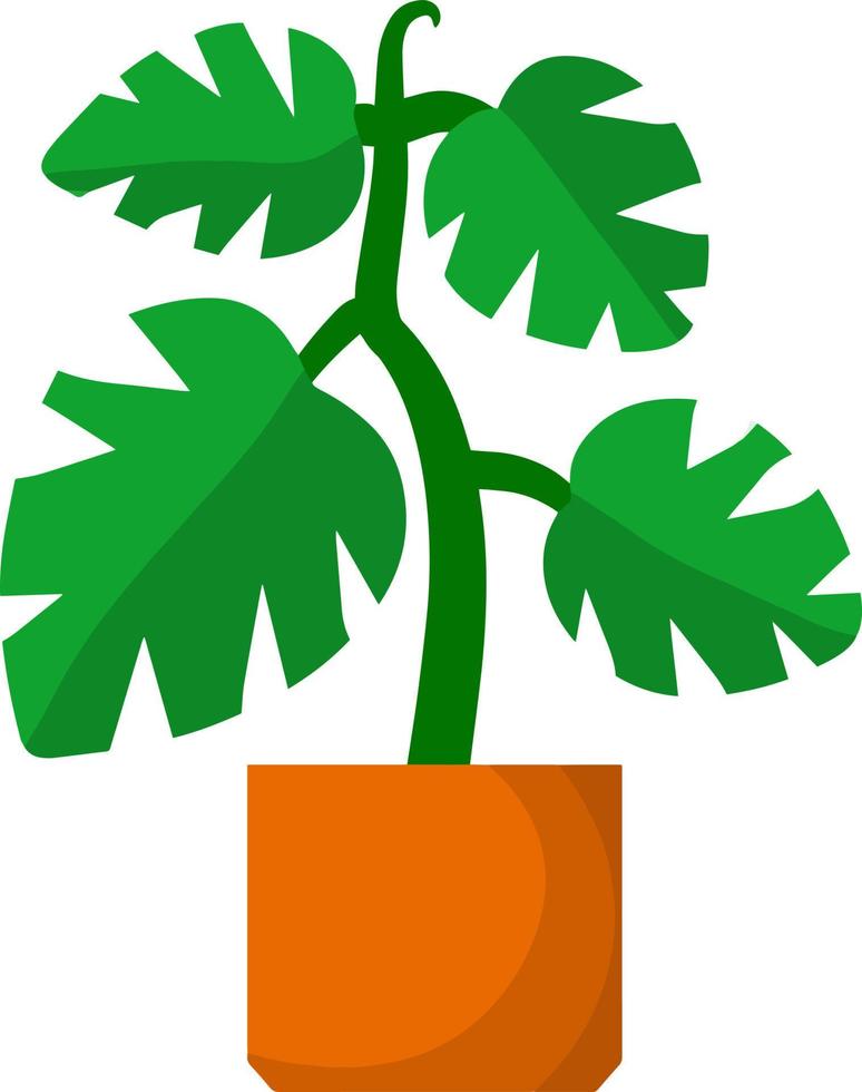 Home plant in pot. Large green leaves.Element of decoration and gardening. Cartoon flat illustration. Hobbies and flora vector