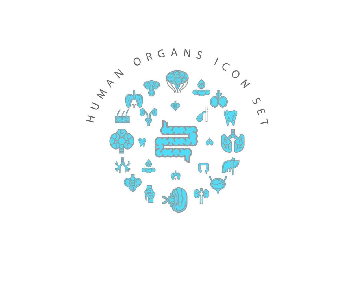 Human organs icon set design on white background. vector