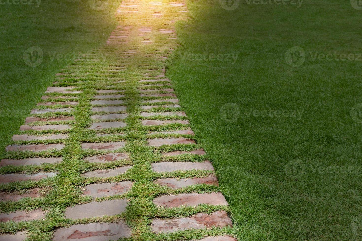 stone walkway and green grass in garden photo