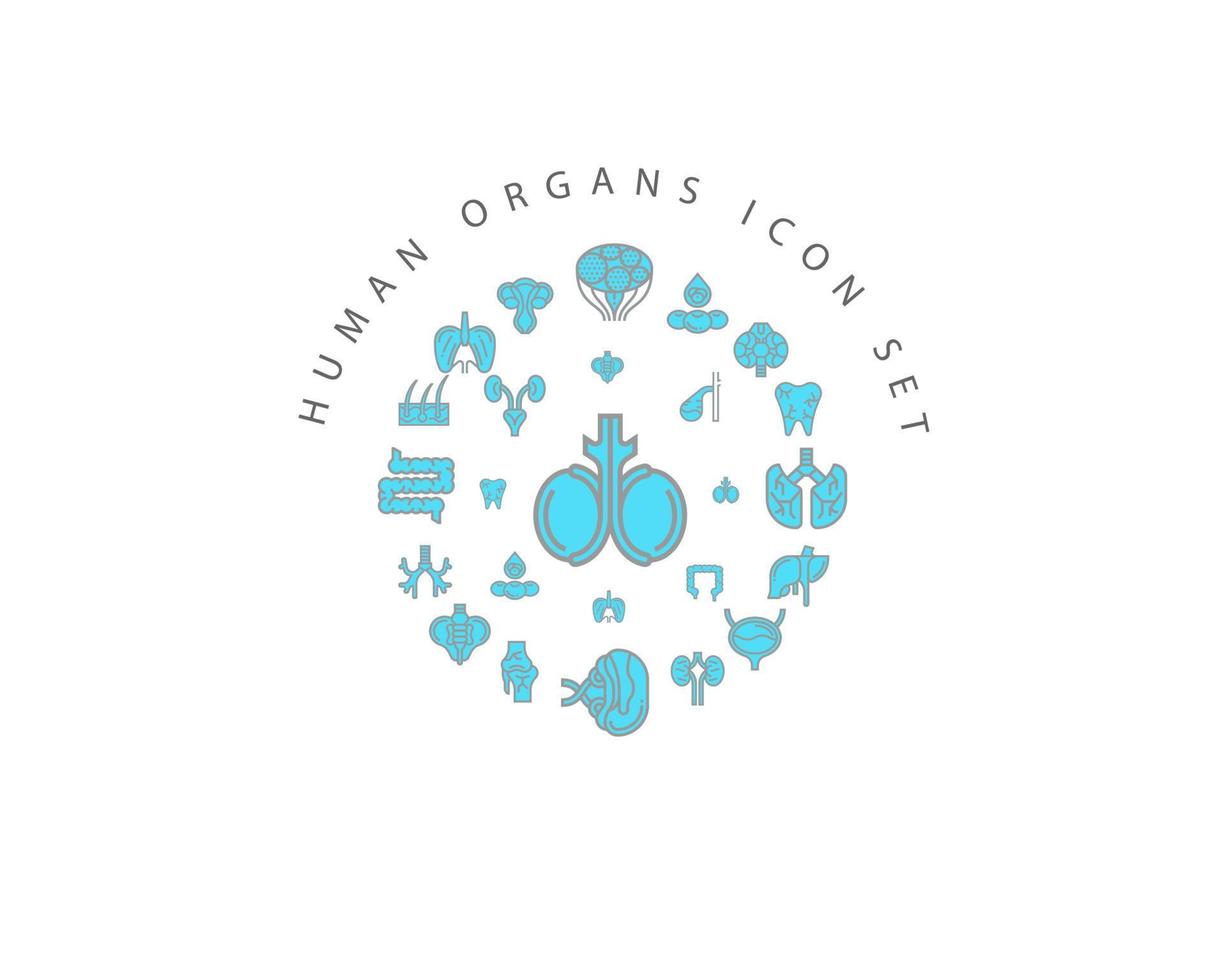 Human organs icon set design on white background. vector