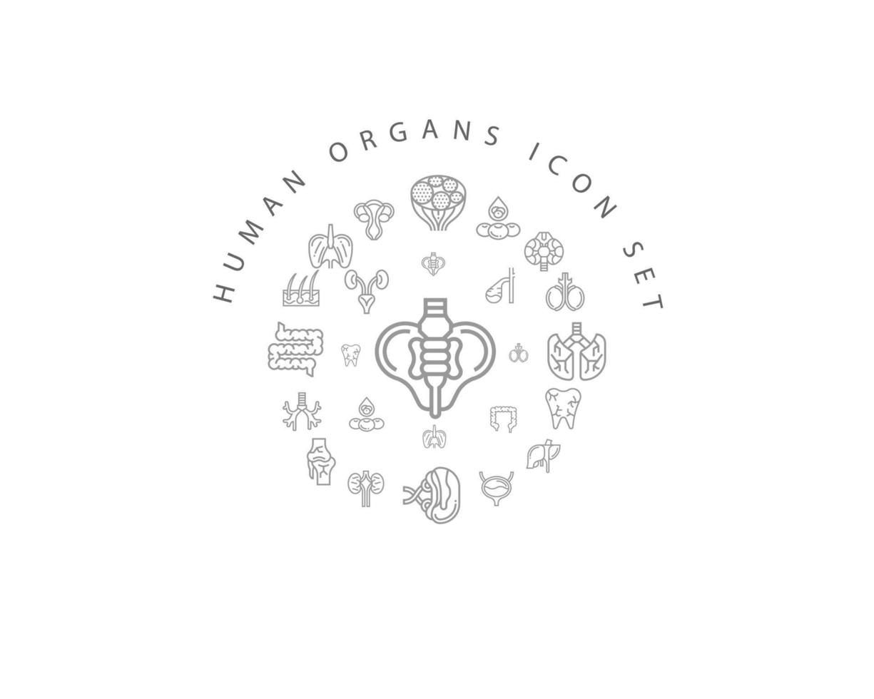 Human organs icon set design on white background. vector
