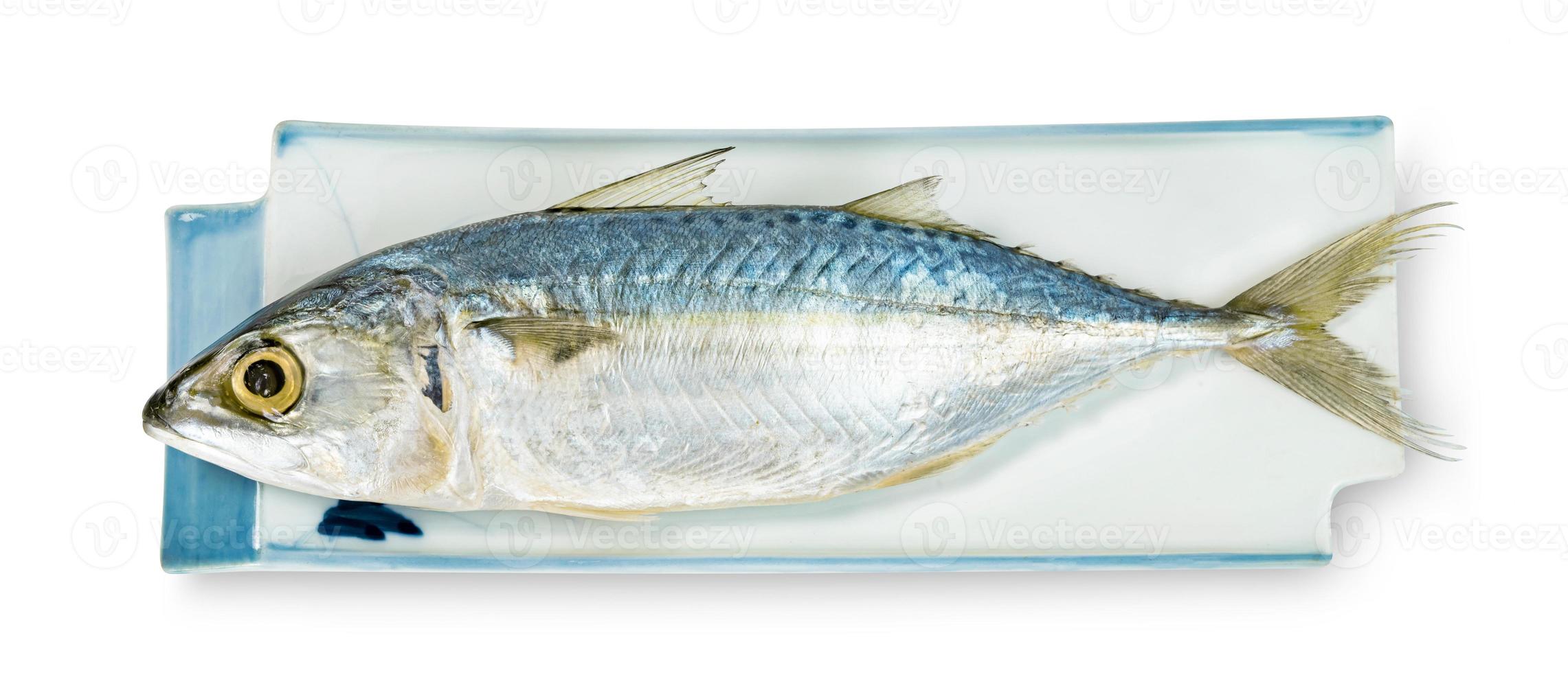 Fresh mackerel fish with dish isolated on white background ,include clipping path photo