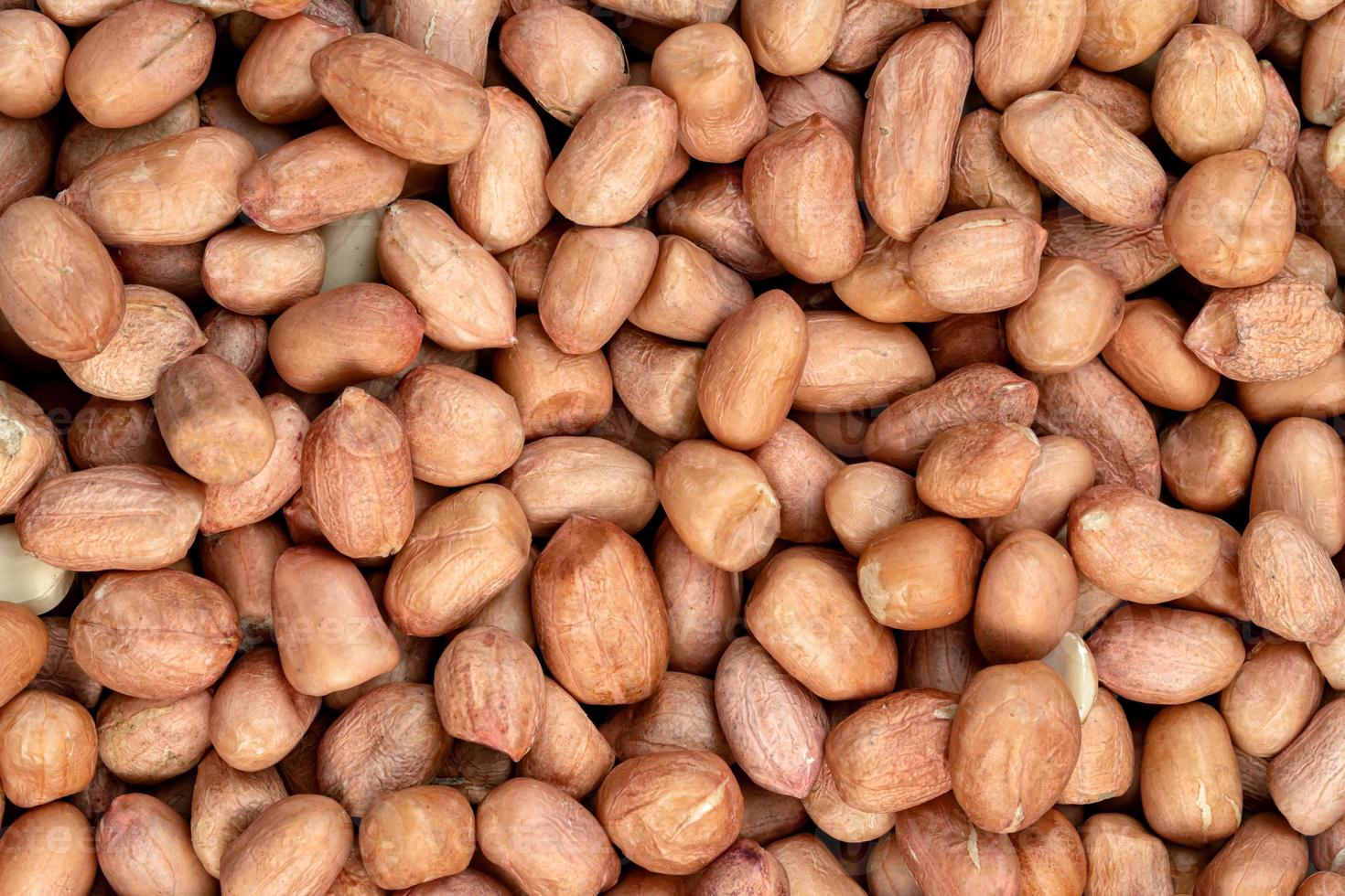 raw peanuts isolated on white background photo